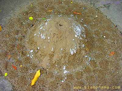 Sand Pagoda Remnant