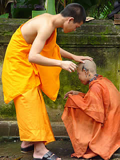 Novice monk shaving another novice's head -- Luang Prabang, Laos